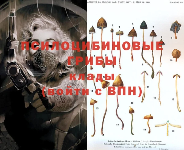 PSILOCYBIN Арсеньев