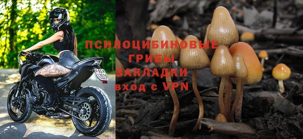 хмурый Балахна