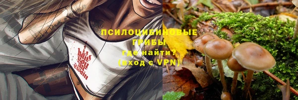 ГАЛЛЮЦИНОГЕННЫЕ ГРИБЫ Баксан