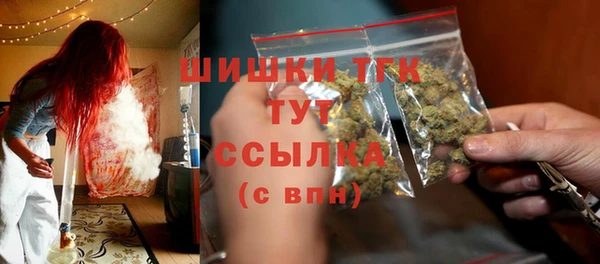 ГАЛЛЮЦИНОГЕННЫЕ ГРИБЫ Баксан